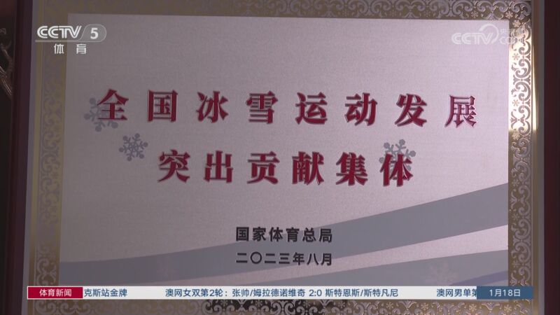 泰山队才能